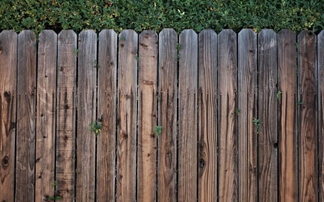 Unlocking the Future: Nano-Technology Wood Sealants